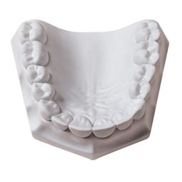 Orthodontic stone 22 kg wit
