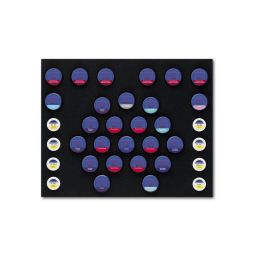 Cercon Ceram Kiss starter kit 