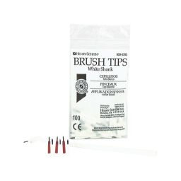 HS penseelborsteltjes (100)