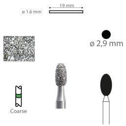 Diamant G379 FG 023 (5) 
