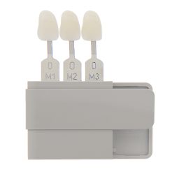 VITA Bleached Shades